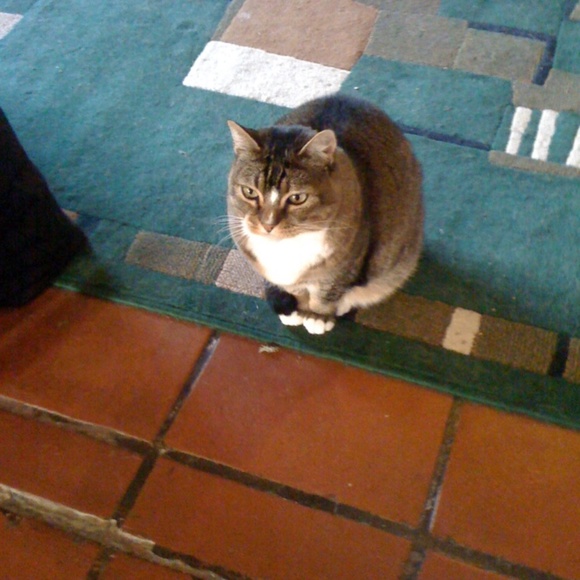 Meet your Posher, Redmontster. - Picture 7 of 15